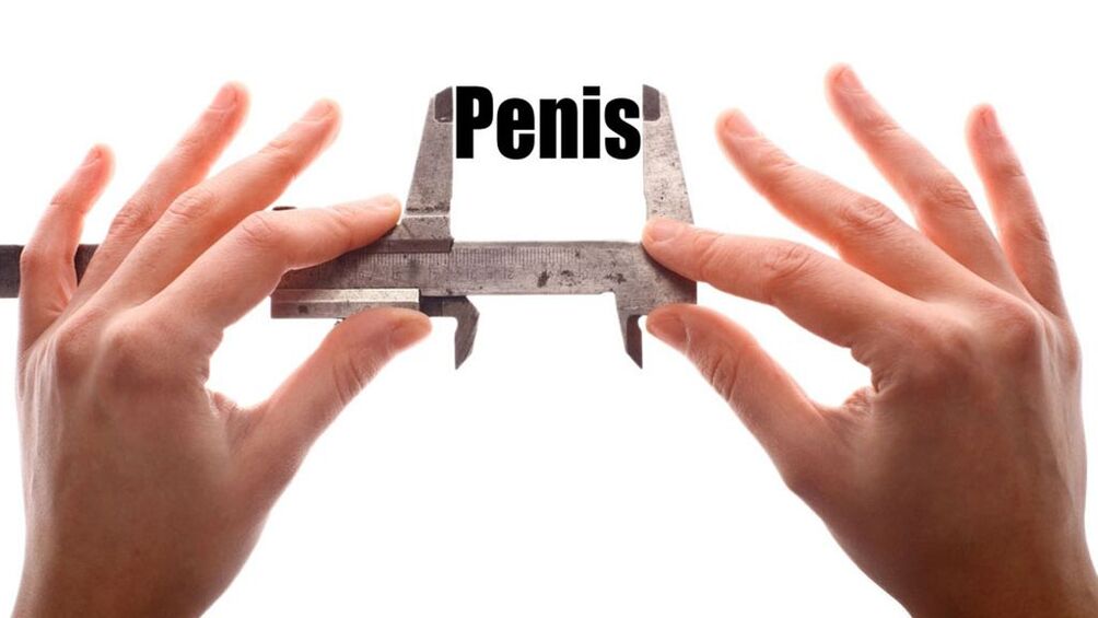 Petite taille de pénis